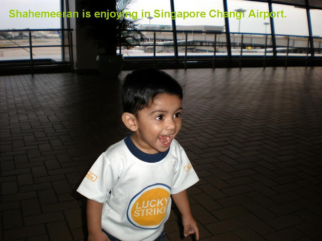 Changi International Airport (Terminal 2), singapore