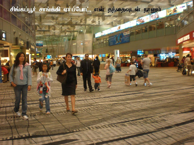 Changi International Airport (Terminal 3), Singapore