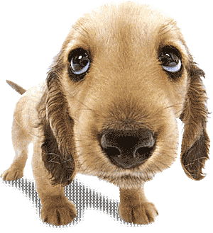 !cid_000501c78ae2%24f628cee0%2468f0eedc%40colin.gif