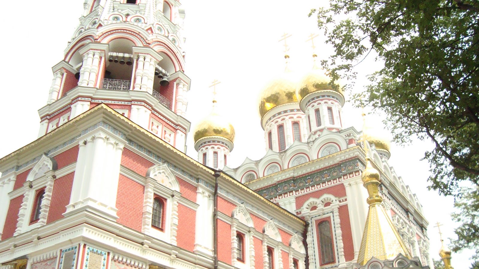 [DSC03660.JPG]