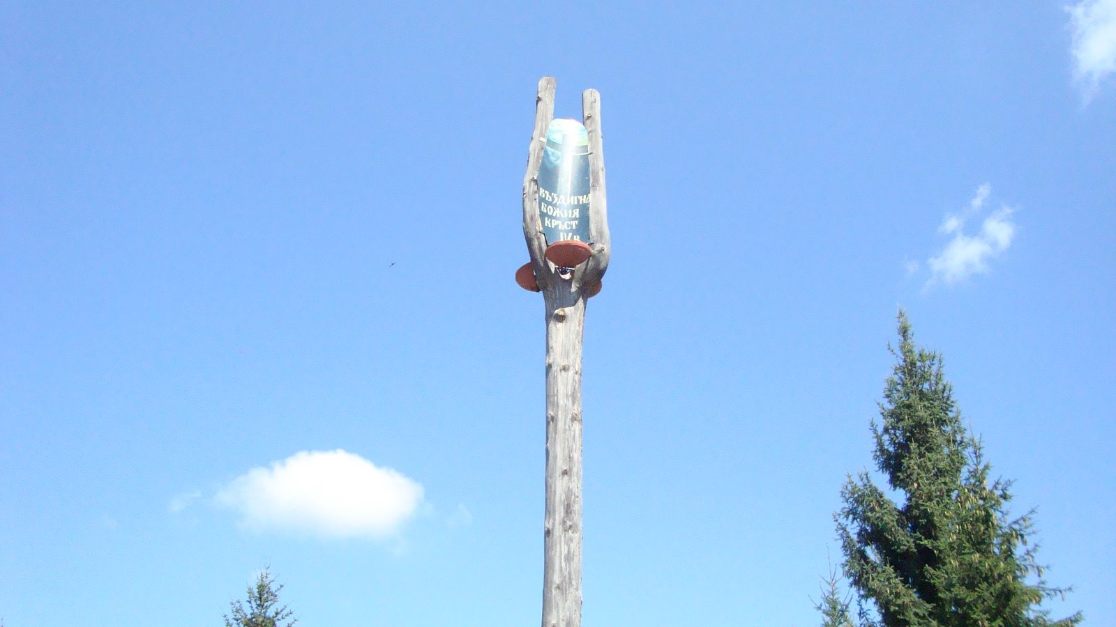 [DSC03612.JPG]