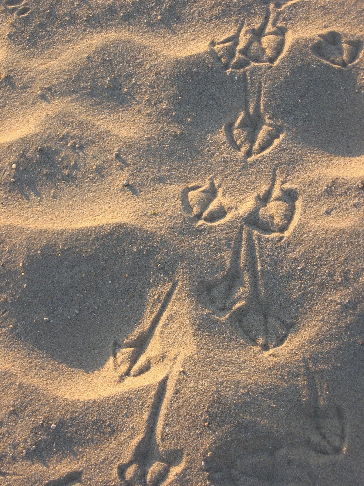 [IMG_3373.JPG]