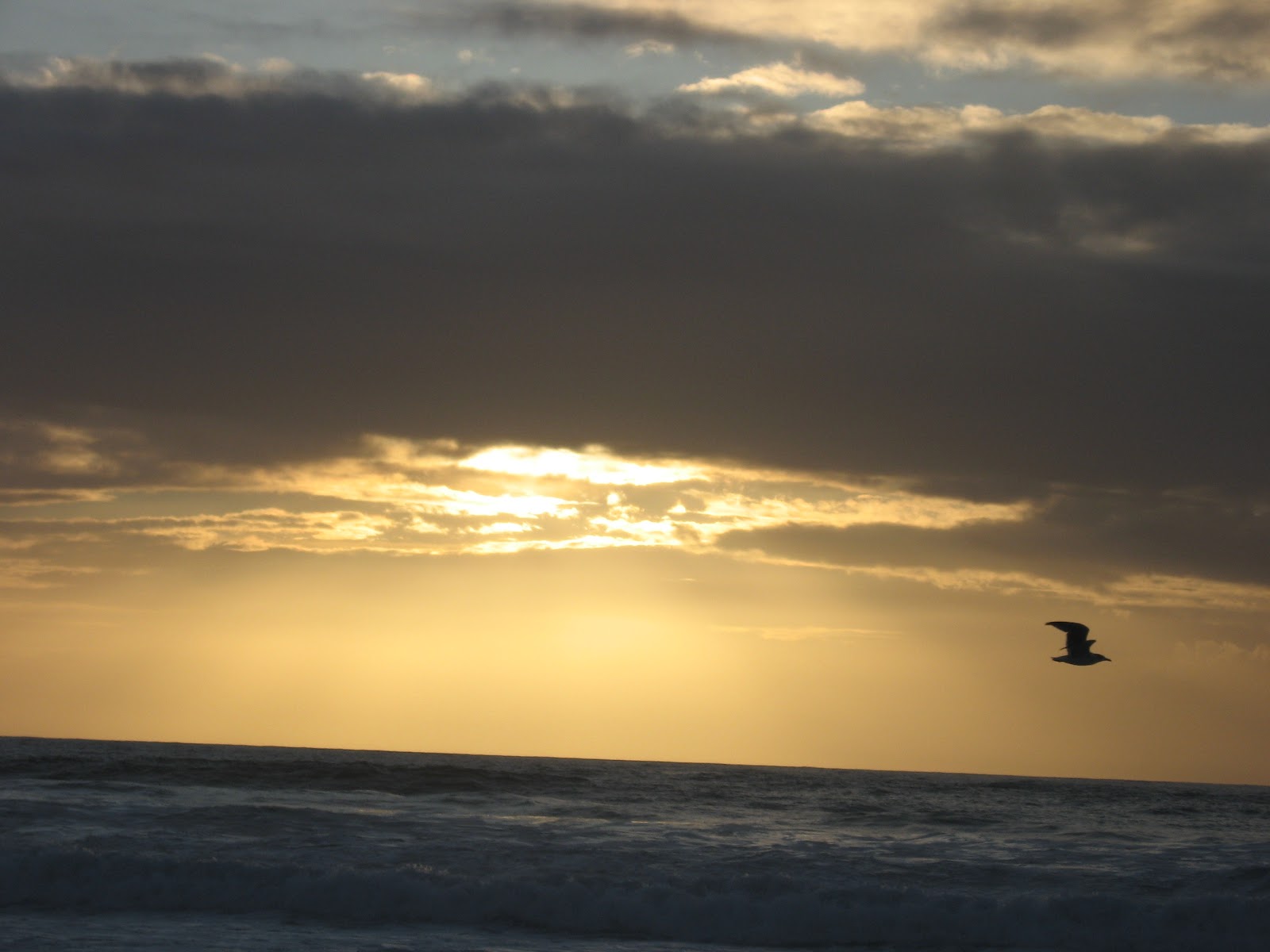 [IMG_0086.JPG]