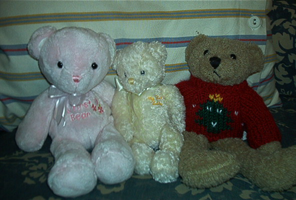 [061208+bear+family+1.jpg]