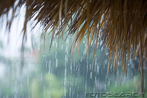 [Monsoon.jpg]