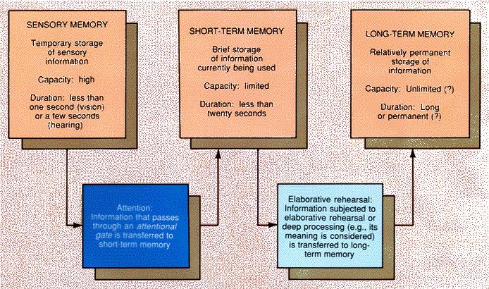 Memory System