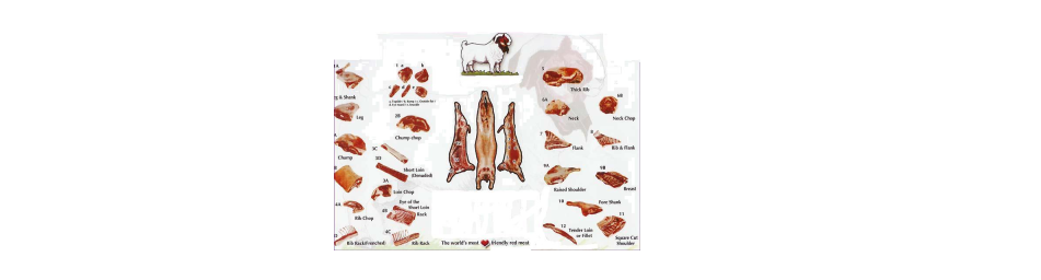 Bagian daging goat