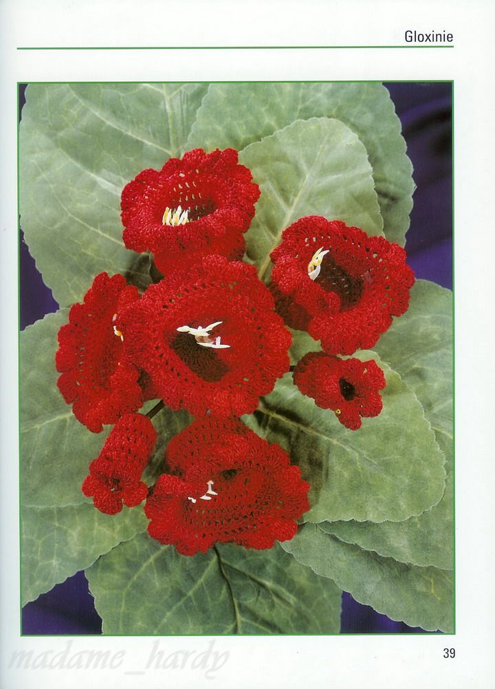 [flores+13.jpg]