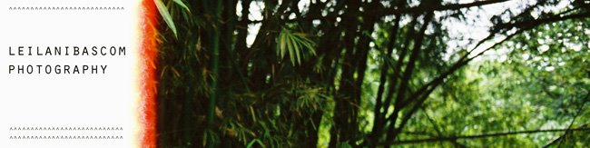Leilani Bascom Photography