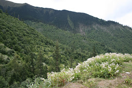 魯朗山巒