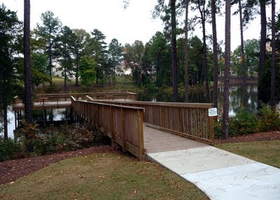 Looking towards the Lake