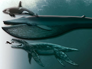 Giant Pliosaur