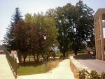 Environnement - - Mane en Provence (04300) - 500 M d\