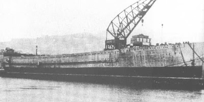 sparviero