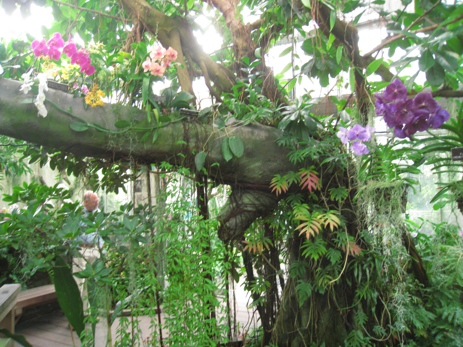 The World's Best Gardens National Botanic Gardens, Washington, D.C.