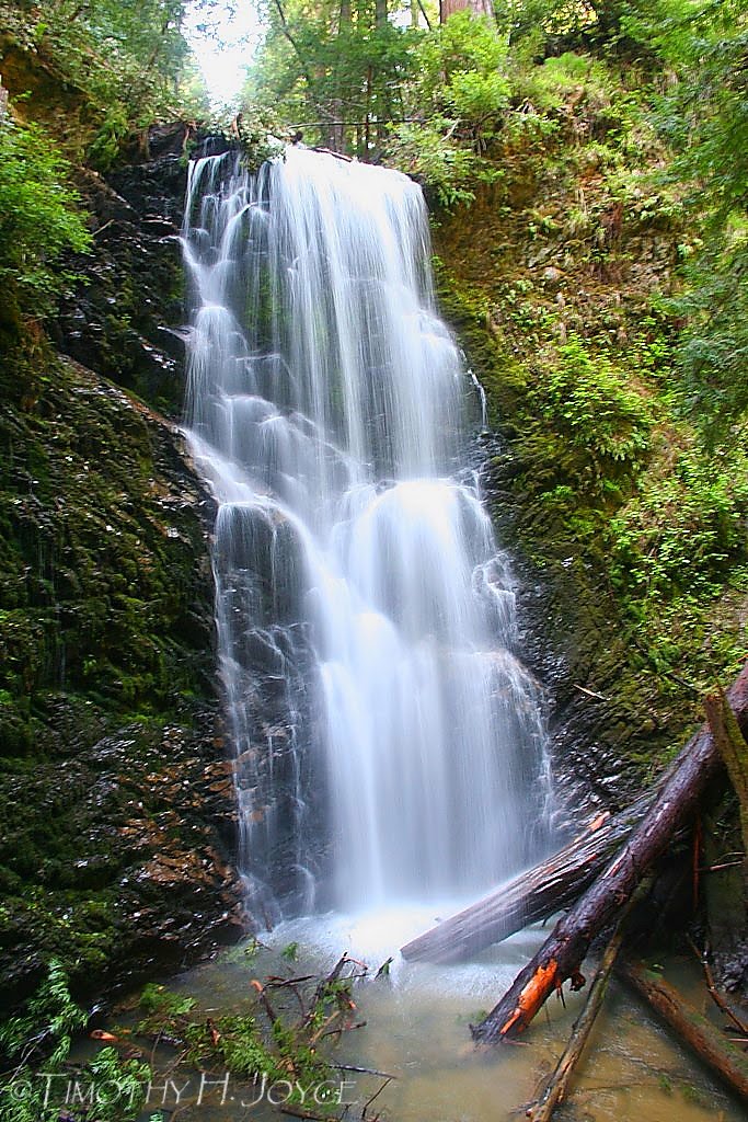 The Photographer's Journal Berry Creek Falls, Big Basin, CA