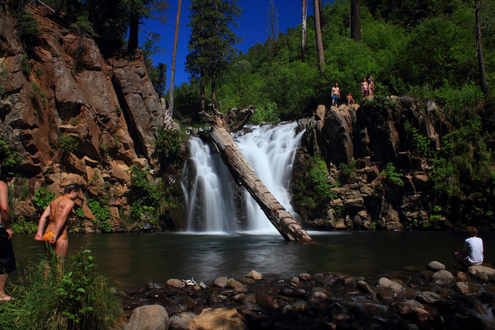 Summary of song of myself image