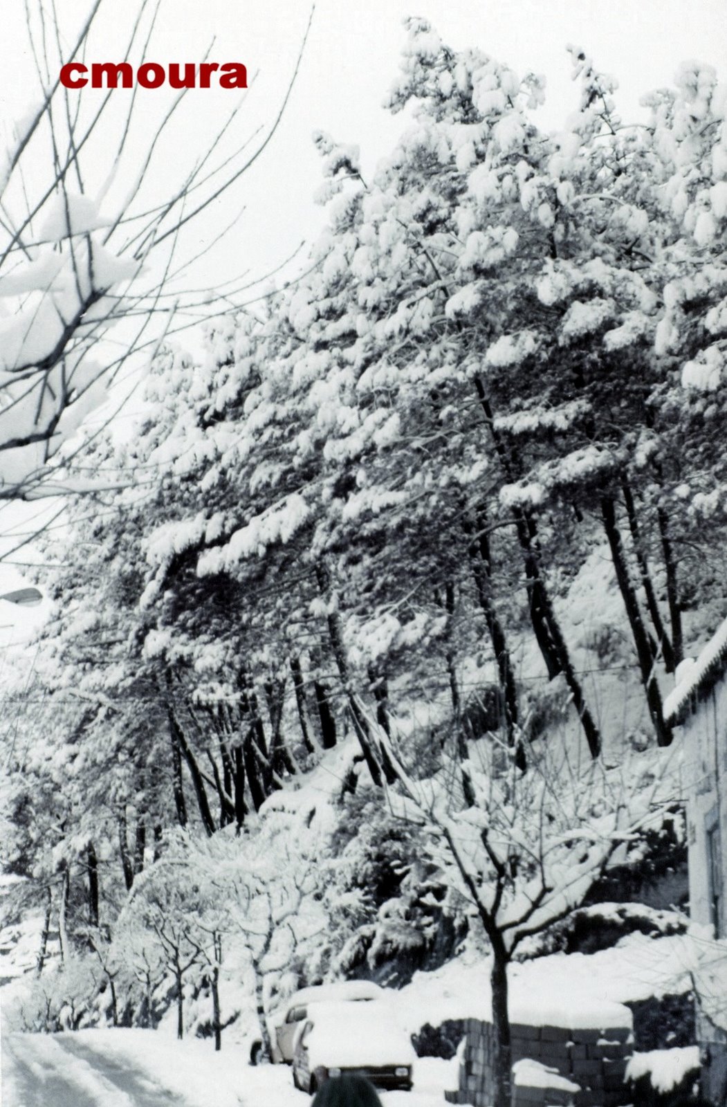 [Feb22212.JPG]