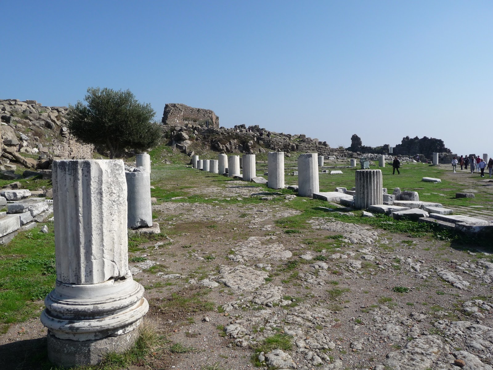 Pérgamo perrengueiros