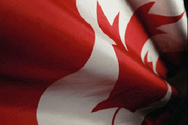 Canadian Flag Canadian Flag