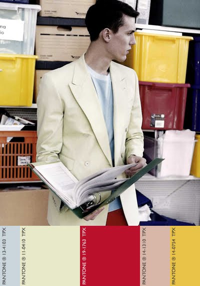 Spring Fashion Colors on Amber C Fashion Needs Color Spring Summer 2012