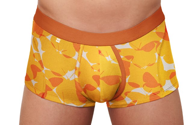 [Cueca.jpg]