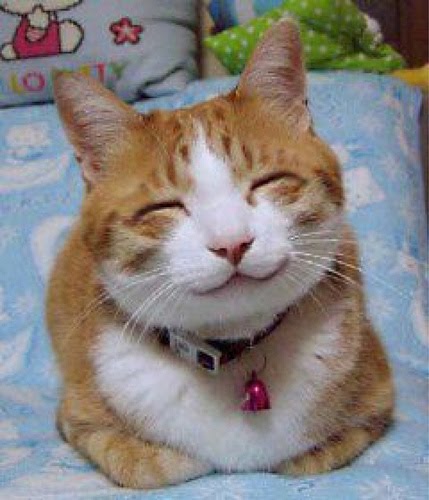 funny quotes about smiling funny quotes about smiling. funny quotes about smiling