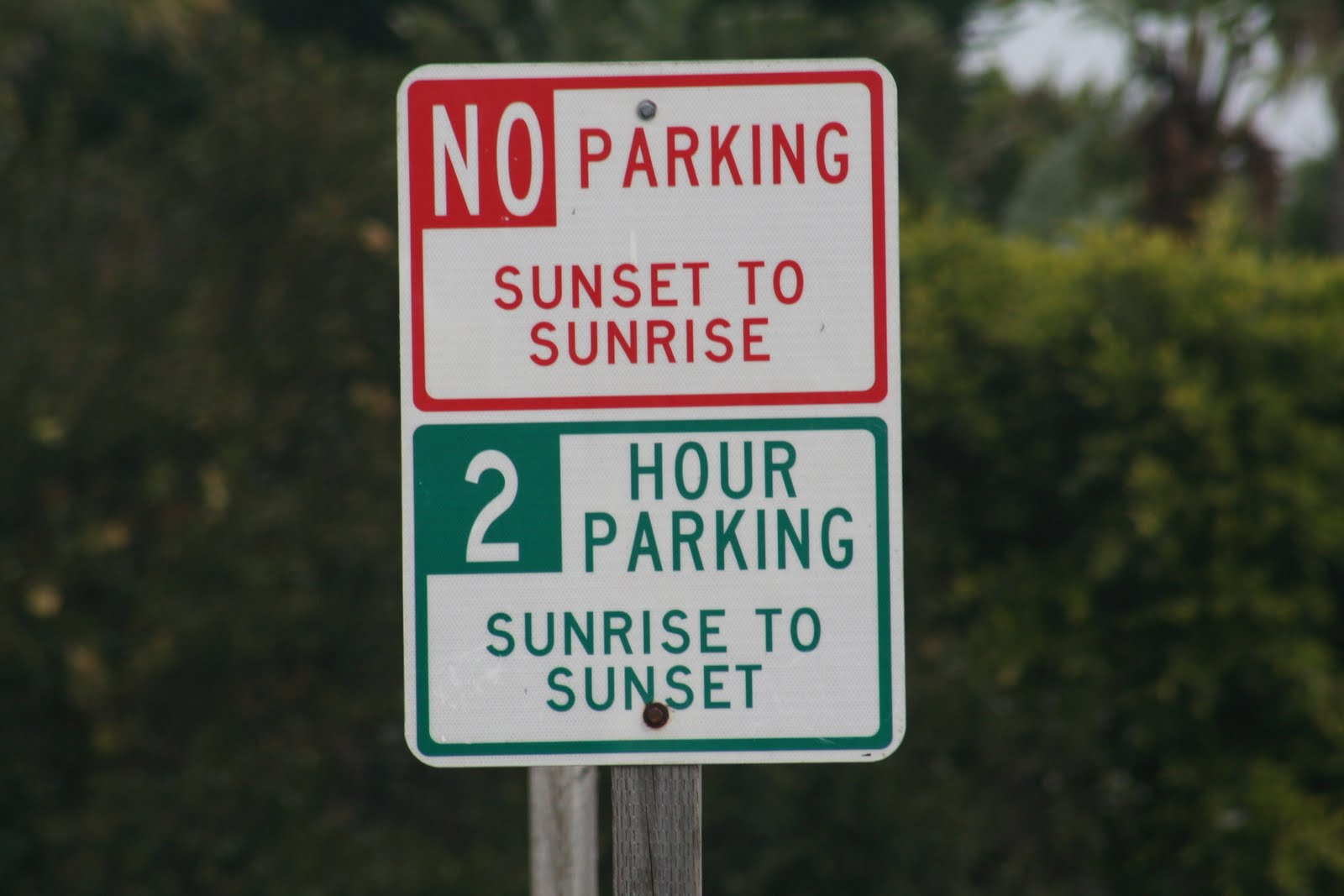 [20100204_0905.JPG]