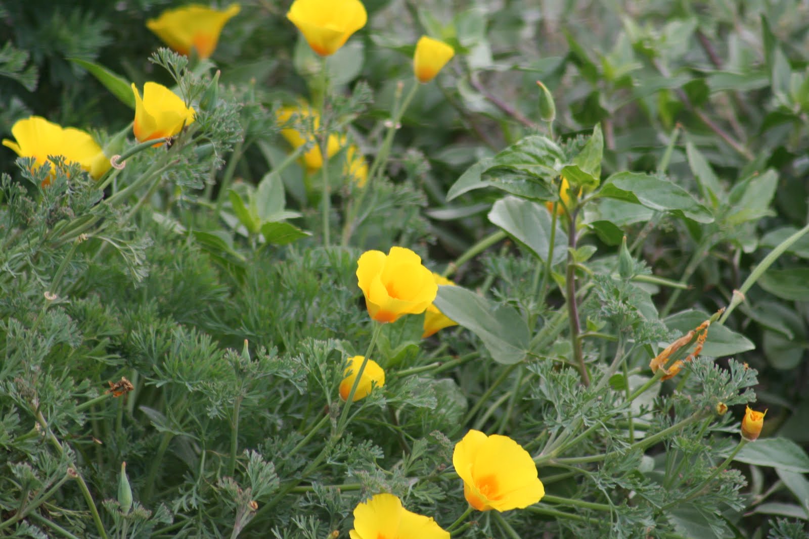 [20100204_0842.JPG]