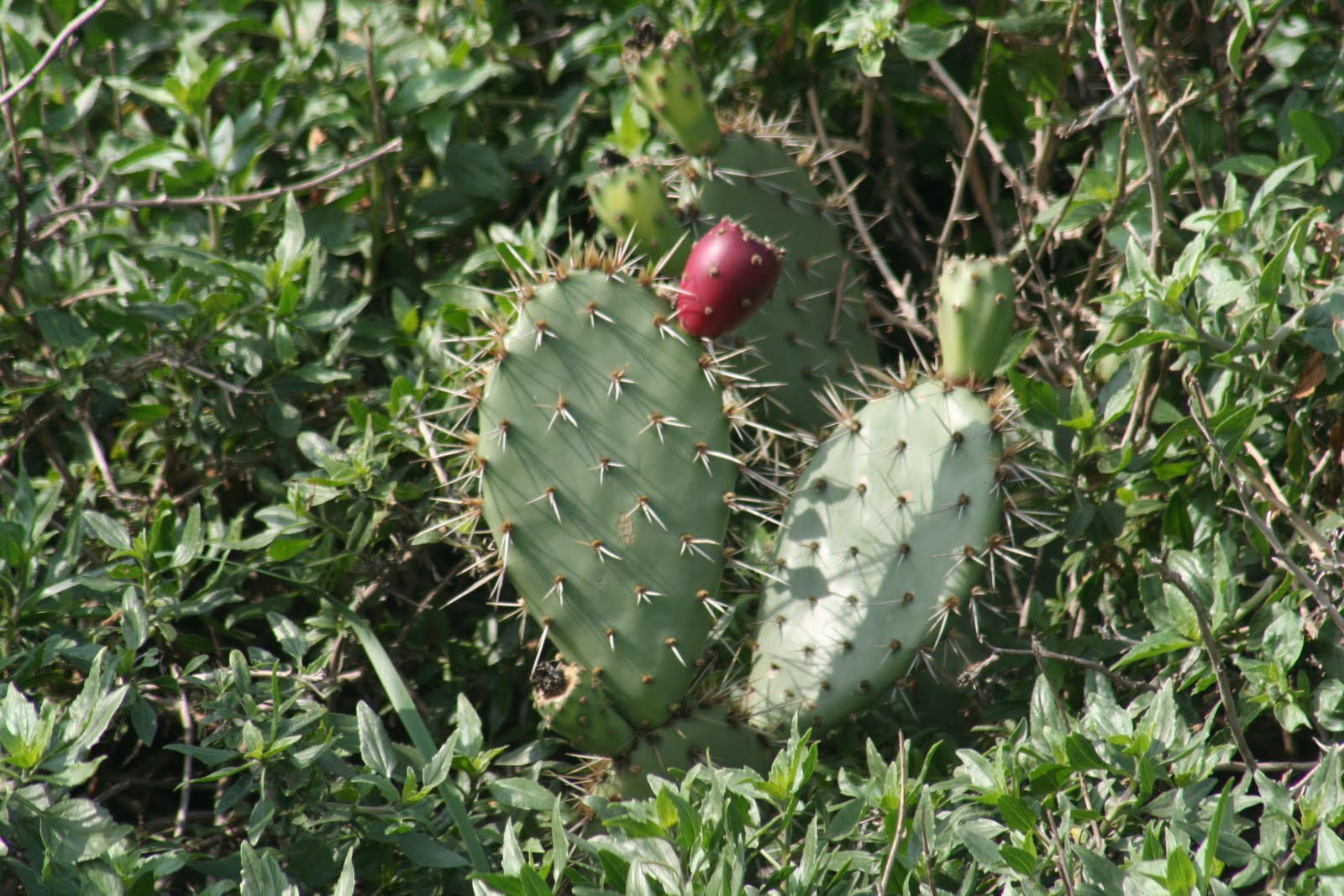 [20100204_0800.JPG]