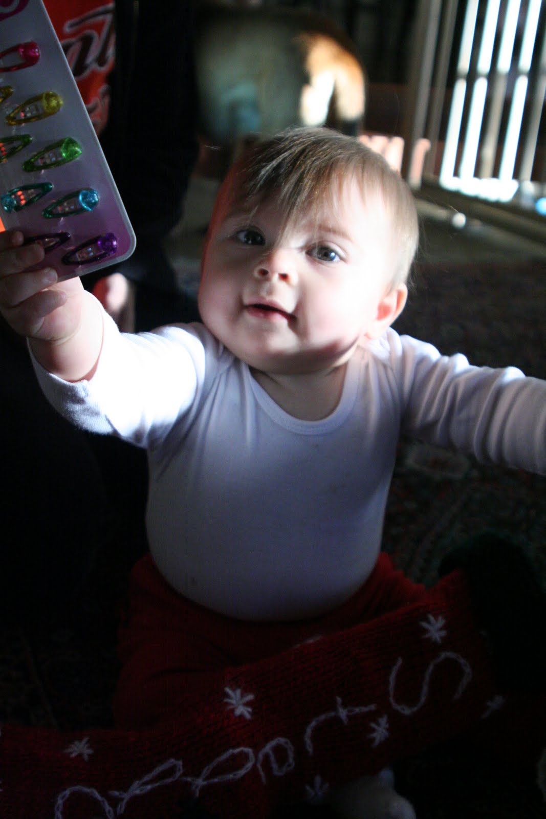 [20091225_0591.JPG]