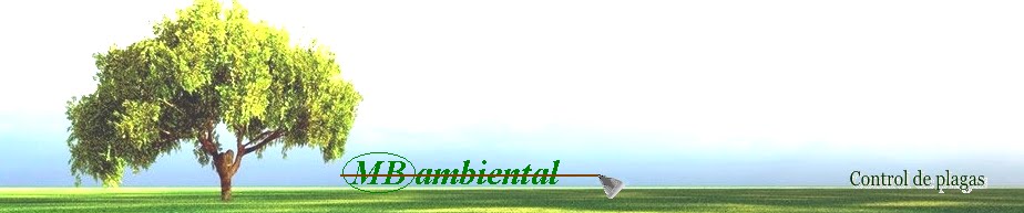 MB ambiental