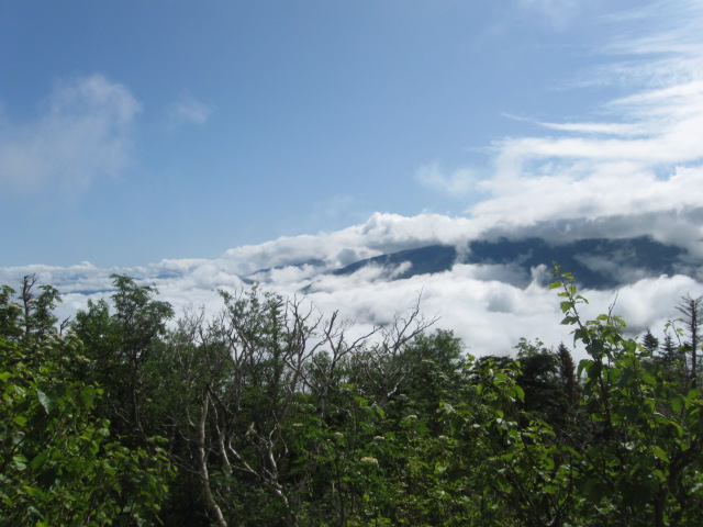 [IMG_5103.JPG]