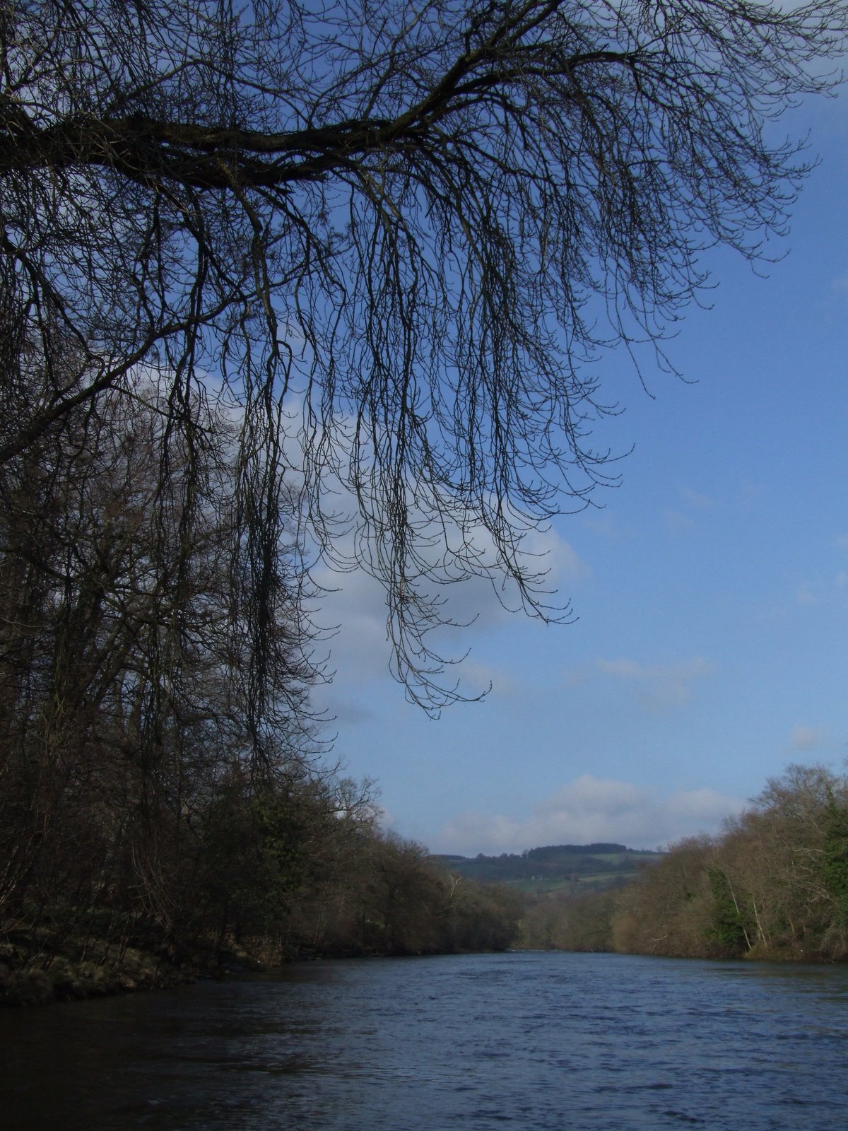 [DSCF0475.JPG]