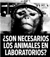 la experimentacion animal