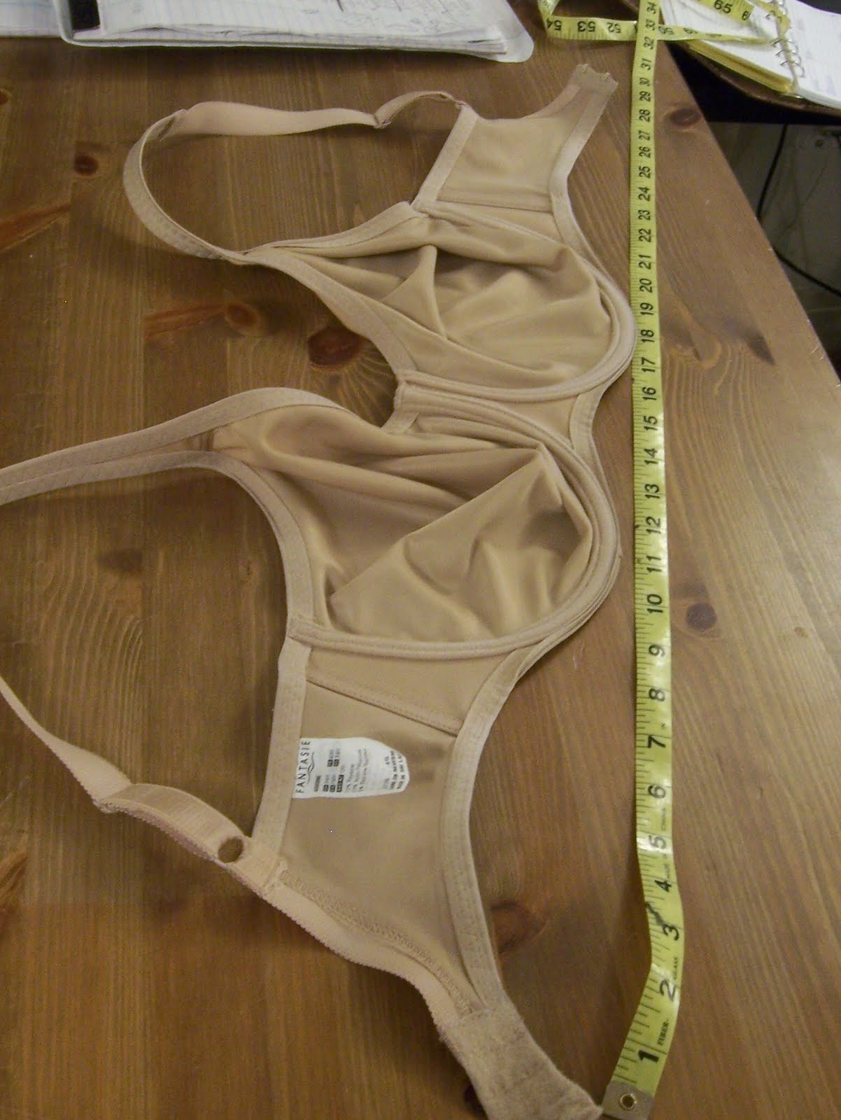 [measurebra.jpg]