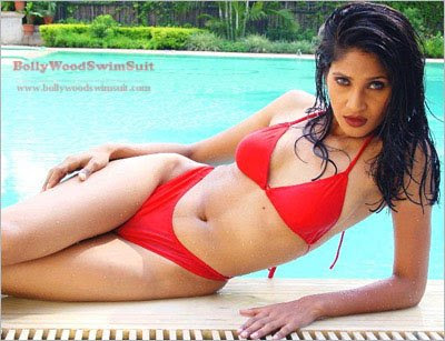 Bollywood Actress Profiles Red Hot Bikini Model Kavita Verma
