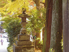 Takao in Autum