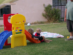 Stryder and William playing on the slide