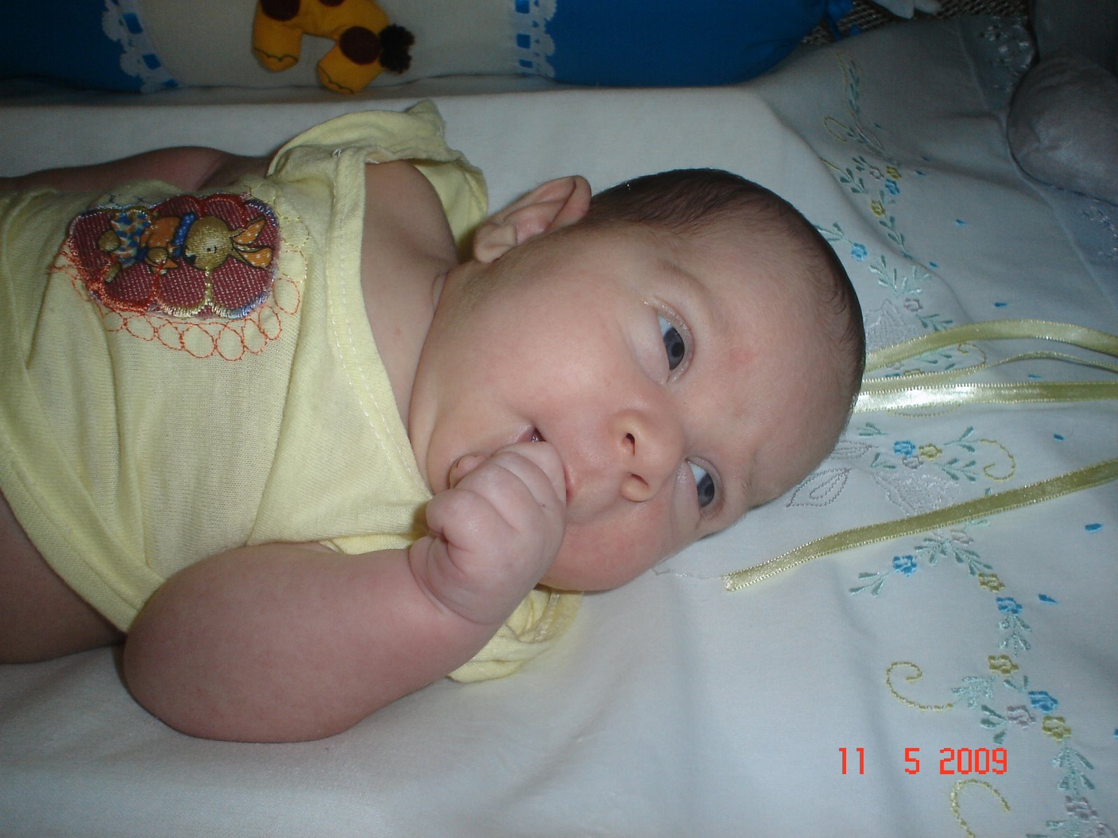 [DSC07956.JPG]