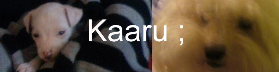 Kaaru ;