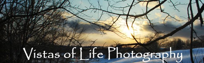 Vistas of Life Photography