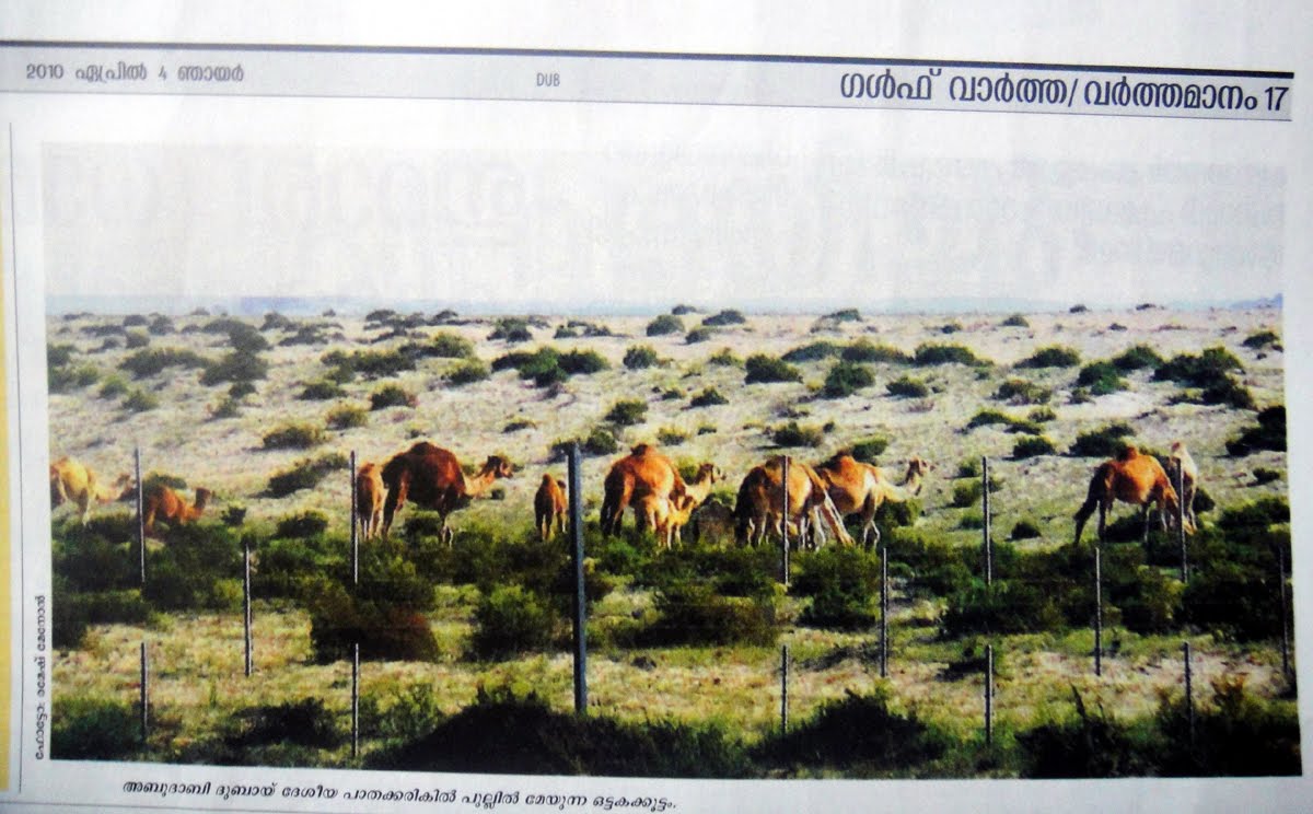 manorama e paper manorama e paper