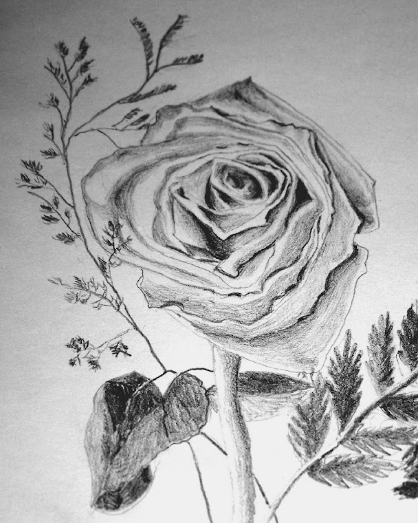 Trinitarian Rose