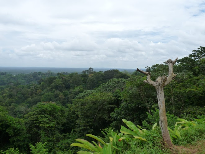 Village Hmong de Cacao