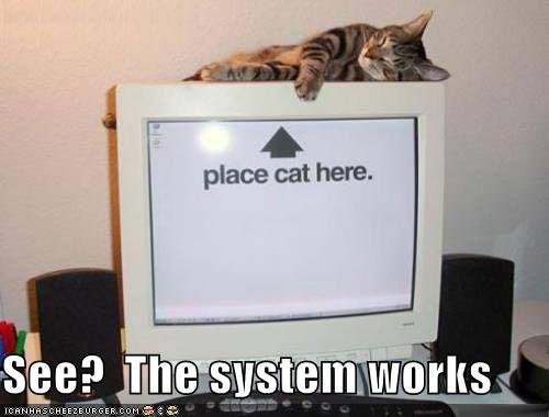 PLACE CAT ON SYSTEM TO GET STARTED...
