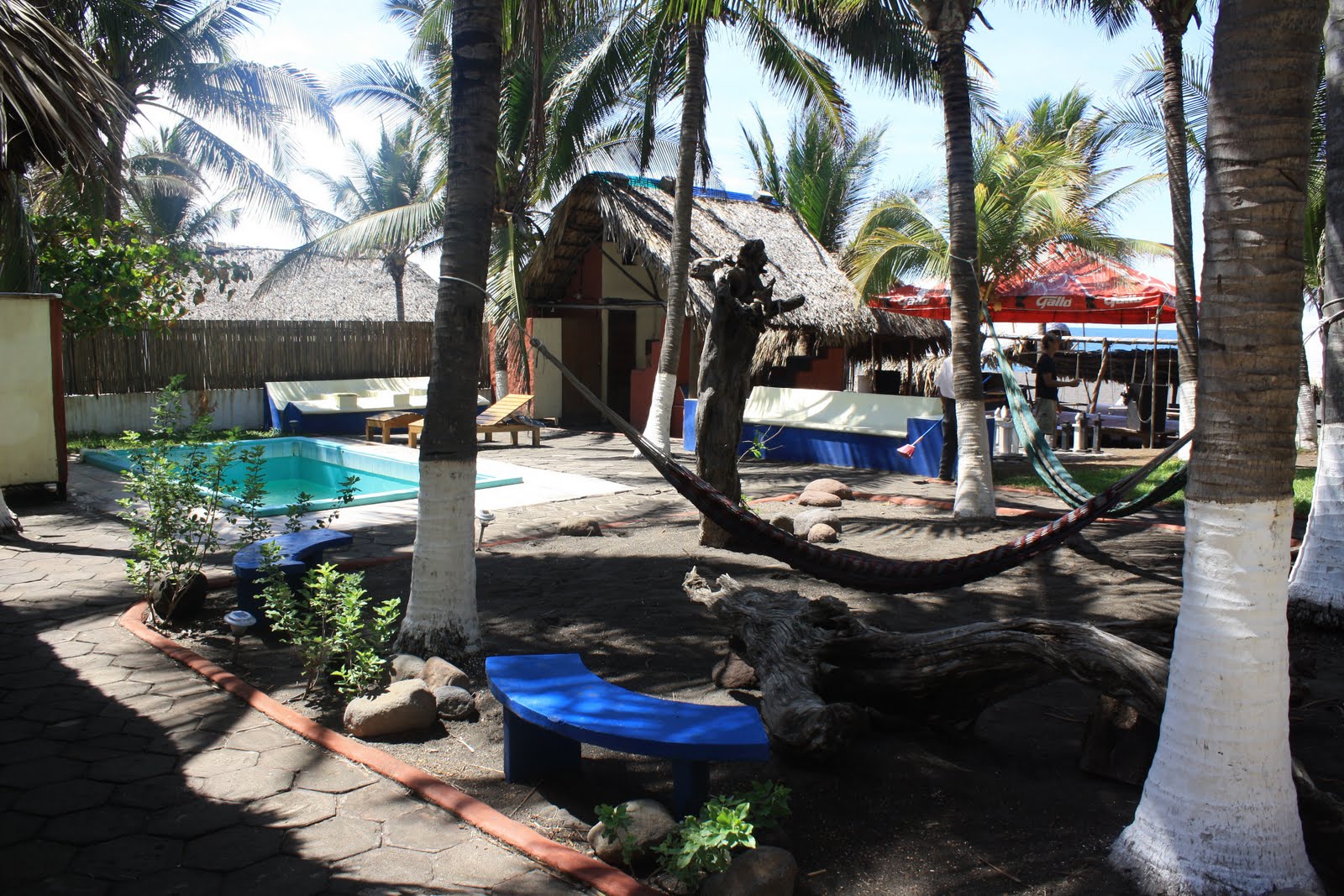 Diario de Guatemala MONTE RICO