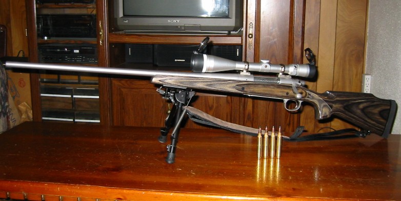 [Remington700.JPG]