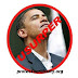 The Third Circuit Court of Appeals Receives Kerchner v. Obama/Congress for Decision...