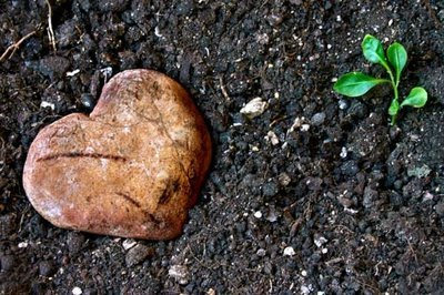 Tamar (4/4 Corazón Encontrado) Tamar (4/4 Corazón Encontrado)